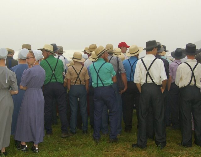 A photo of a group of Amish men and women from the back. They are standing in a field.